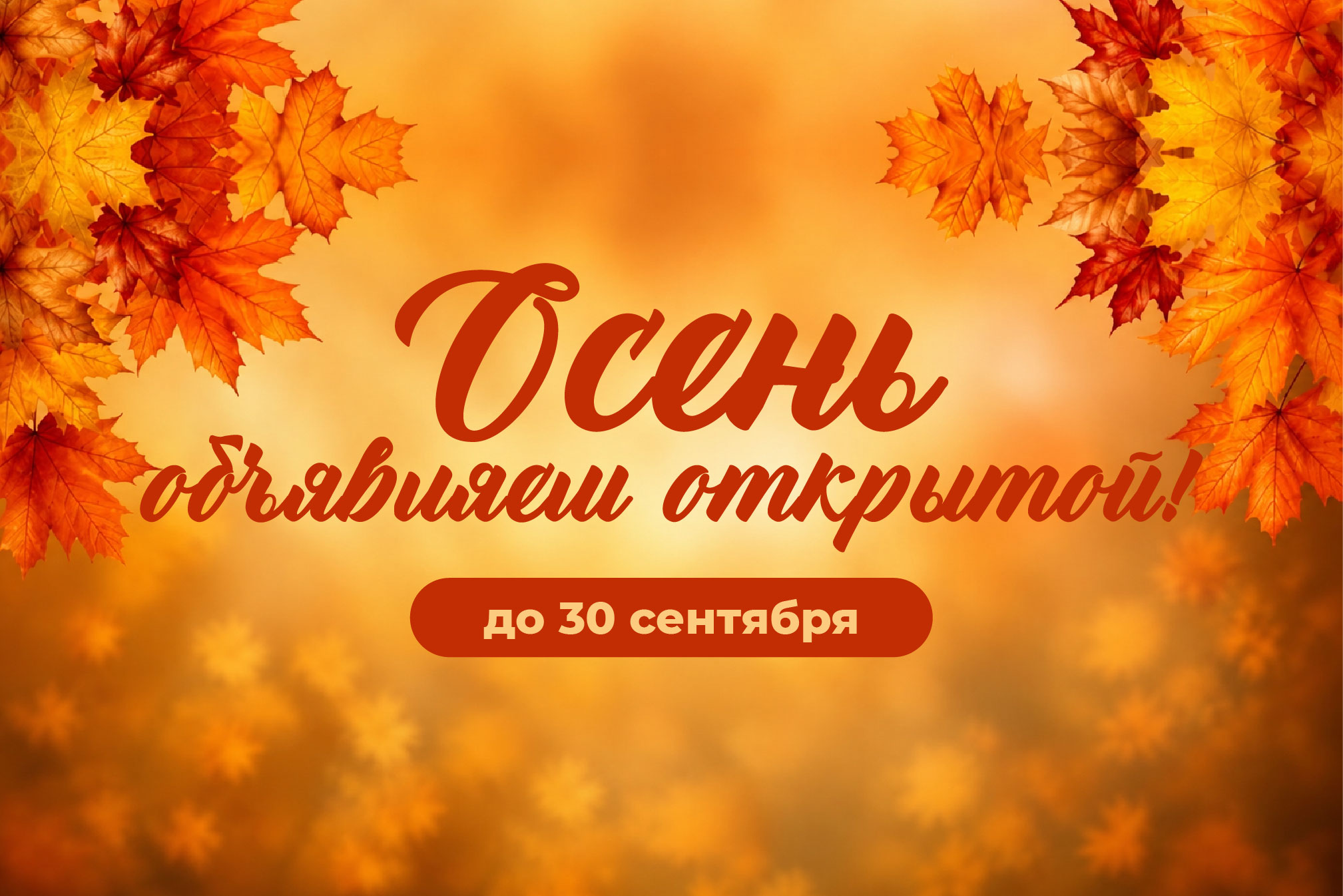 Объявляем ценопад на любимые товары🍁